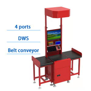 سهل الاستخدام WCS Warehouse DWS Zigzag Sorter